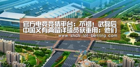  官方电竞竞猜平台：不错！武磊后中国又有两留洋球员获重用：他