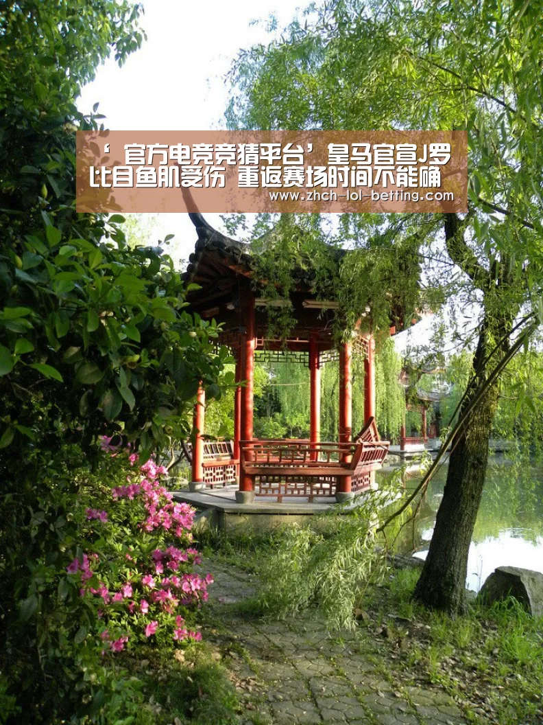 LOL英雄联盟投注 