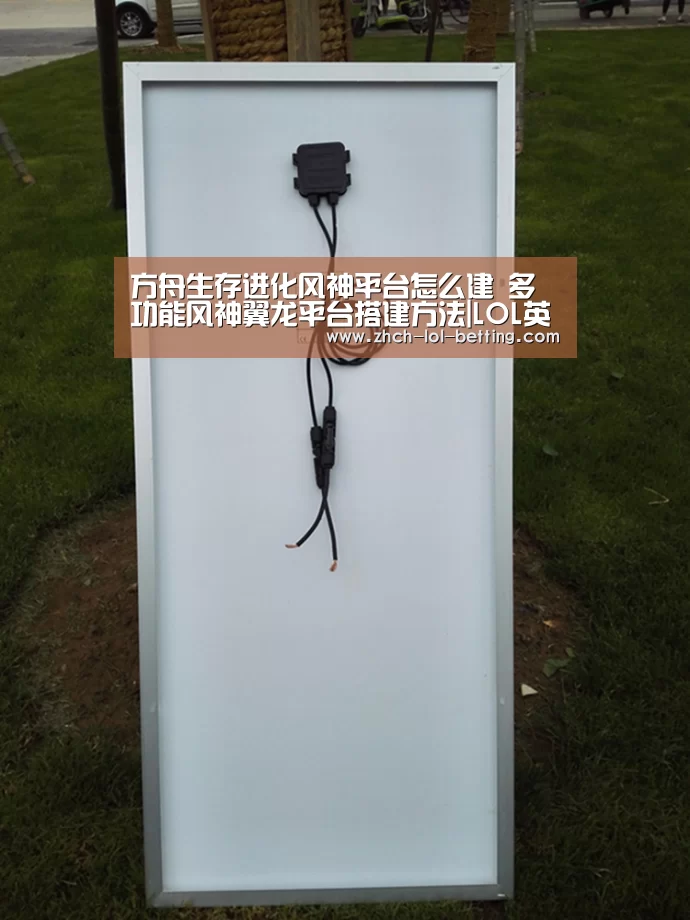  官方电竞竞猜平台