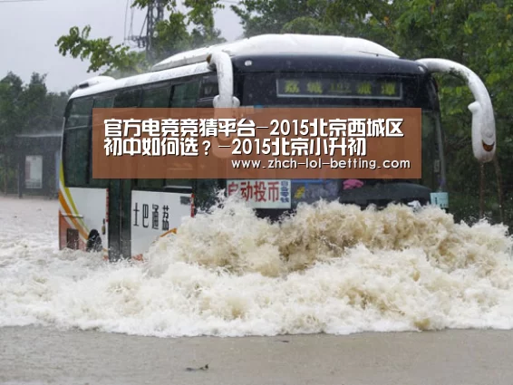 LOL英雄联盟投注 